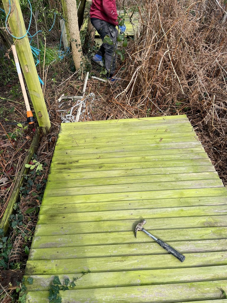Person working on moss-covered wooden boardwalk or bridge in forest with bare branches and undergrowth visible