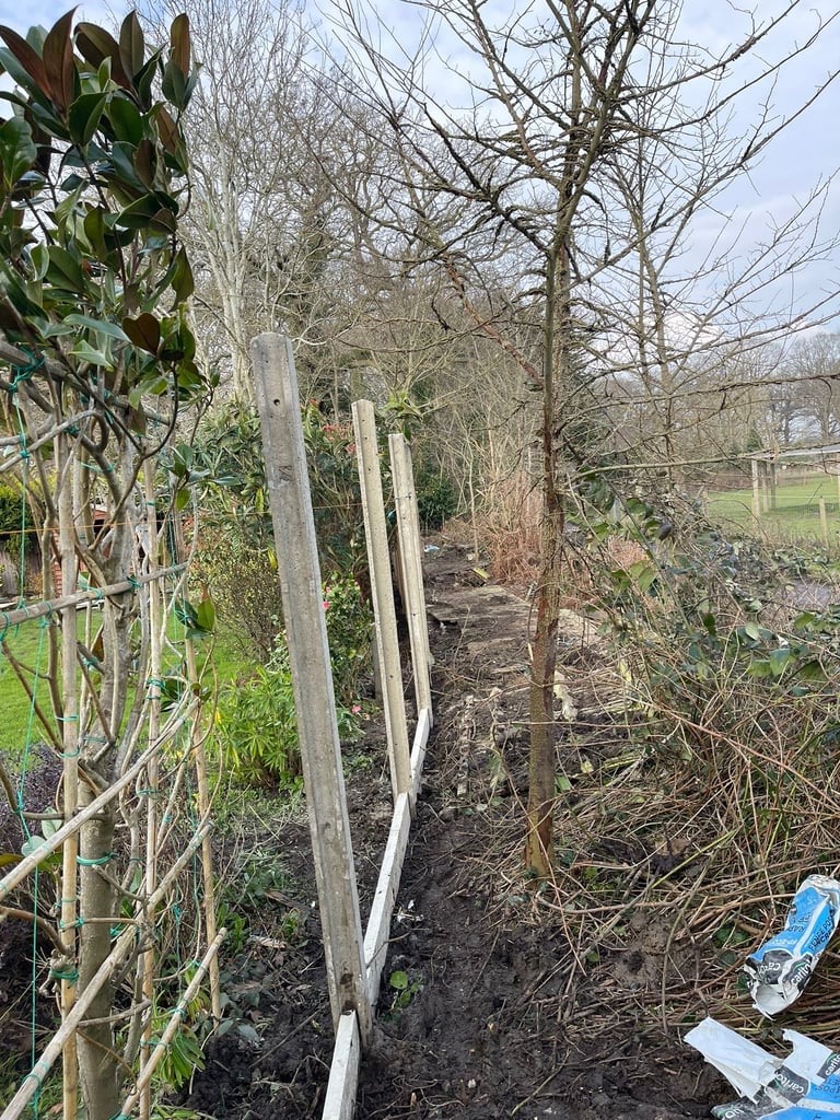 Wooden fence posts along a garden path with bare trees and green foliage in early spring, blue gardening tool visible on right