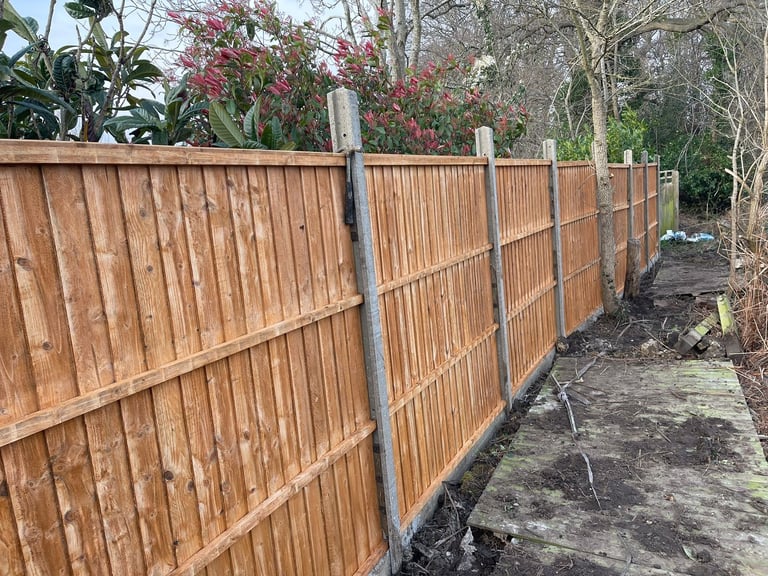 Wooden fence with metal posts running through a garden, with flowering shrubs and bare trees visible in the background
