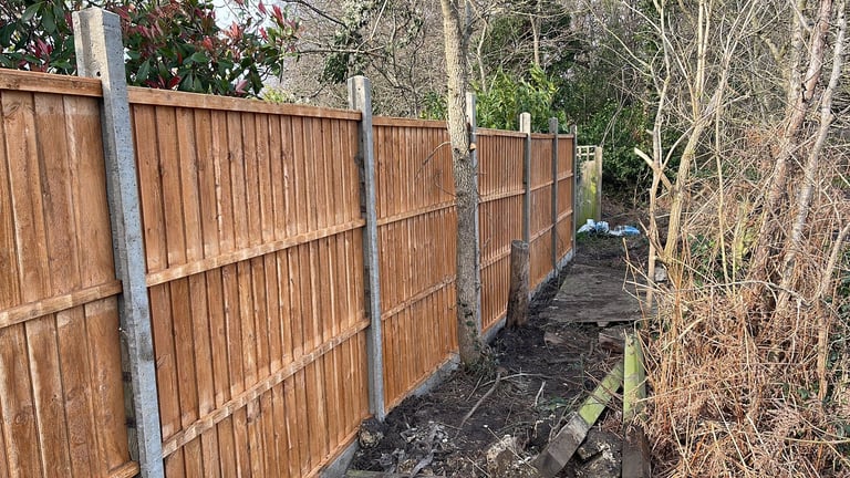 Wooden fence panels with metal posts lining a narrow pathway bordered by bare trees and shrubs